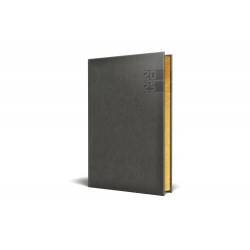 AGENDA DATATA RO A5, 352 PAGINI, COPERTA DIN PIELE SINTETICA, PREMIUM DELUXE NARNI, CULOARE GRI, MARGINI FOLIO AURIU, 2025