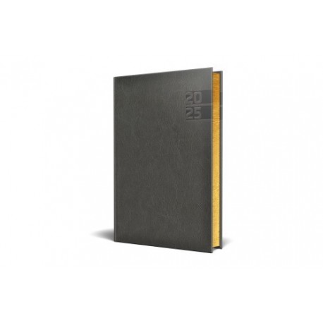 AGENDA DATATA RO A5, 352 PAGINI, COPERTA DIN PIELE SINTETICA, PREMIUM DELUXE NARNI, CULOARE GRI, MARGINI FOLIO AURIU, 2025