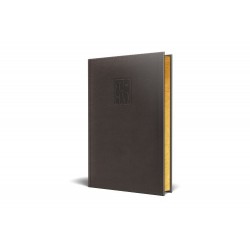 AGENDA DATATA RO A5, 352 PAGINI, COPERTA DIN PIELE SINTETICA, PREMIUM DELUXE PANAMA, CULOARE NEGRU, MARGINI FOLIO AURIU, 2025